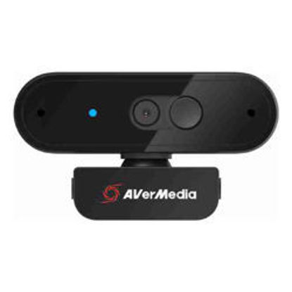Picture of AVerMedia HD Webcam 310